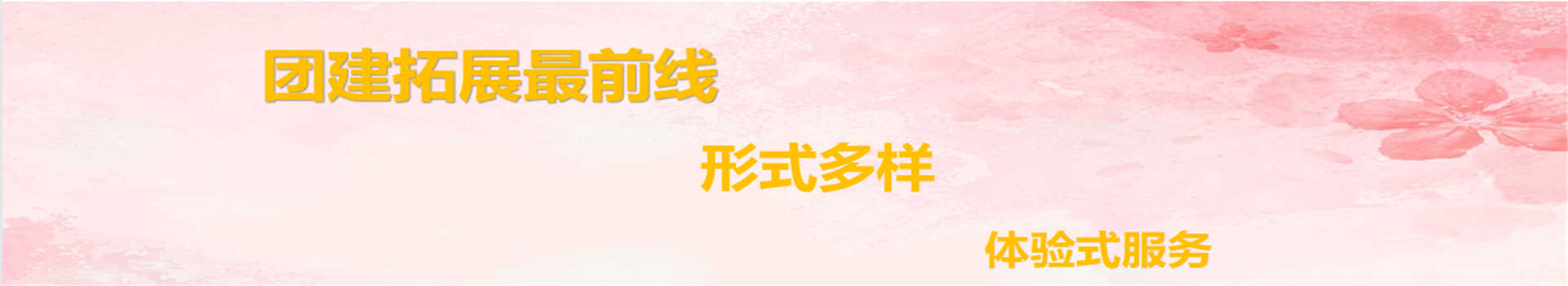 公司新闻