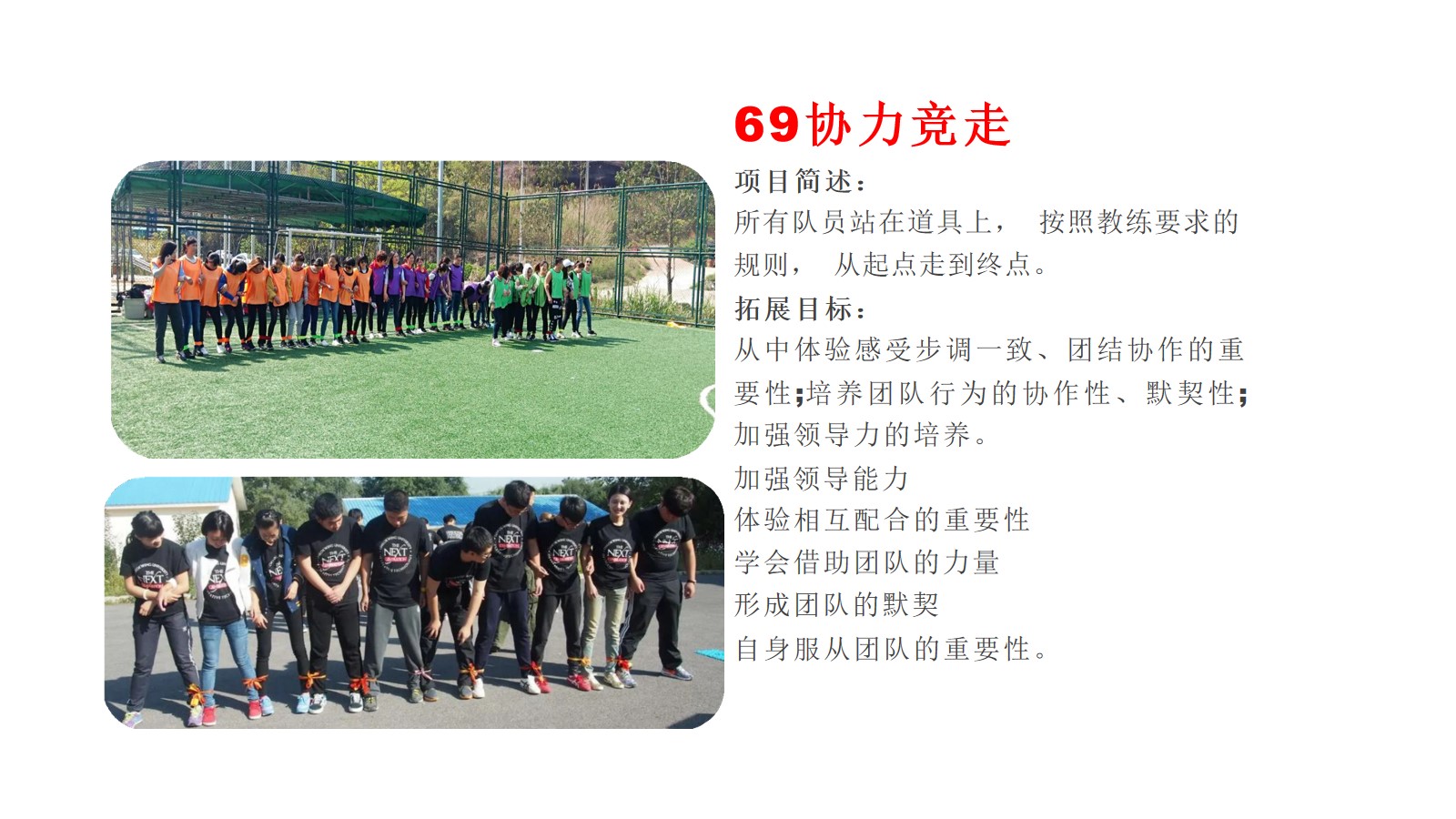 团建项目(图108)